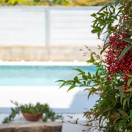Apartment Adriana On Peaceful Location With Pool Pula